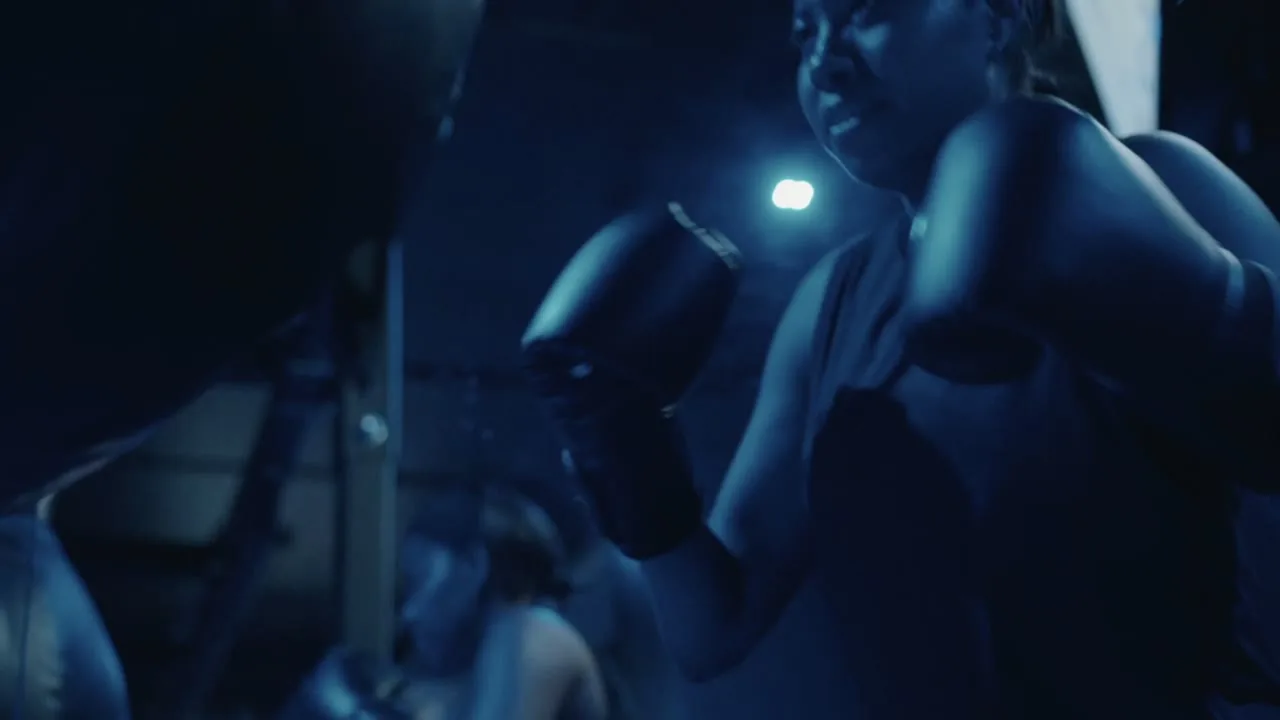 Mayweather Boxing — thumbnail